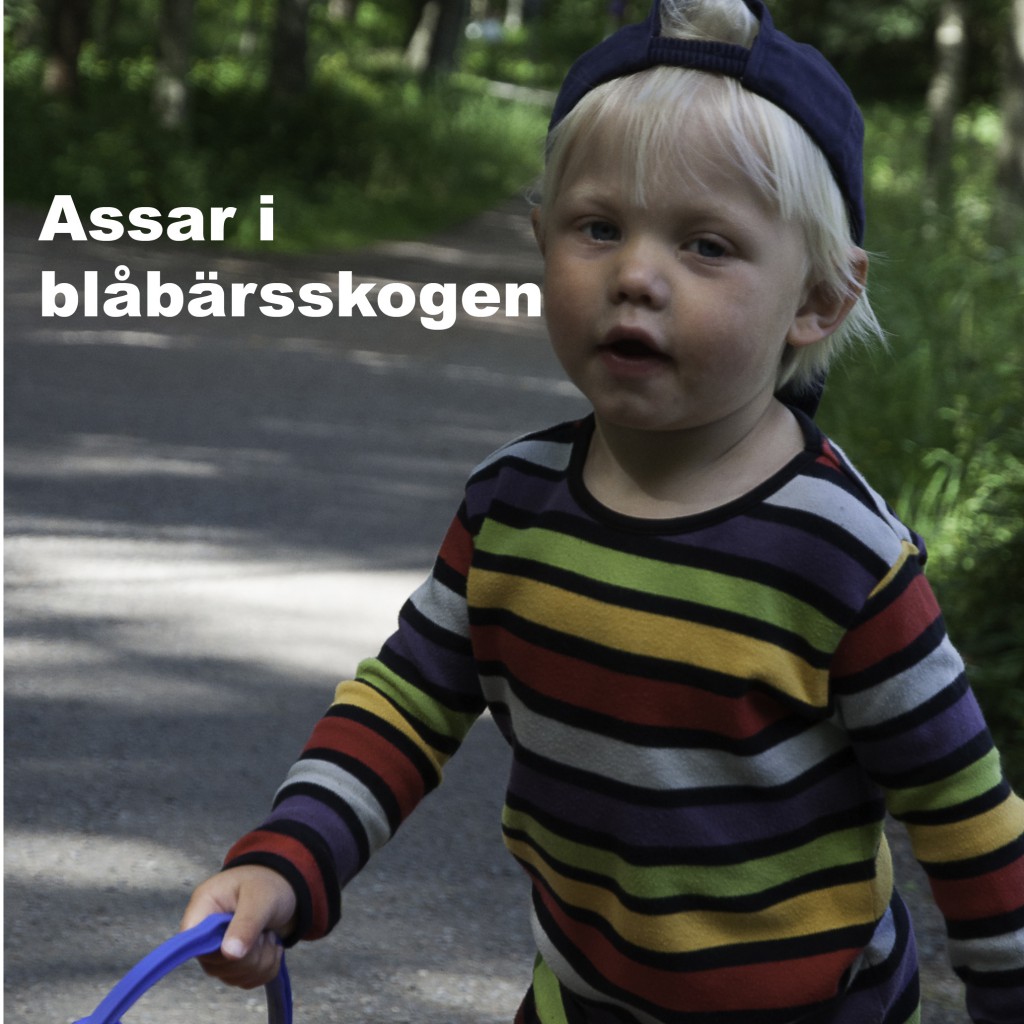 Bokomslag framsida